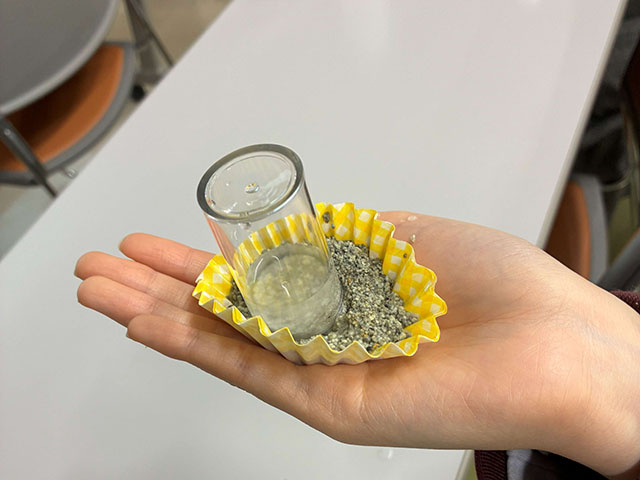 放射線技術科学科